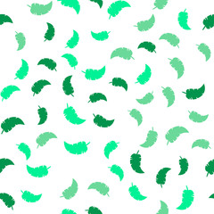 Seamless vector Pattern with different leaves. Floral decoration.