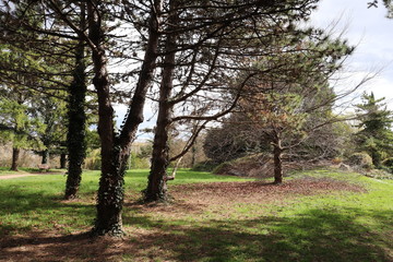 PARC GEORGES MANILLIER - VILLE DE PIERRE BENITE - RHONE