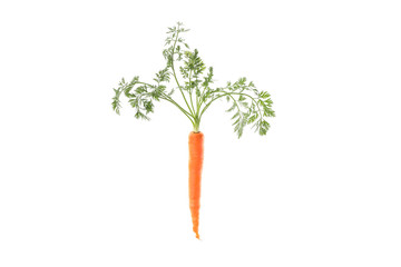 Ripe fresh carrot isolated on white background