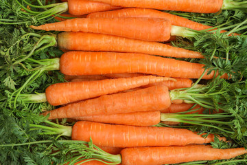 Ripe fresh carrots as background, space for text