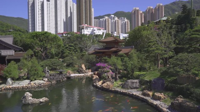 Traditional chinese garden. Nan Lian garden, entrance to Chi Lin temple. Gimbal shot - October 2018: Hong Kong, China