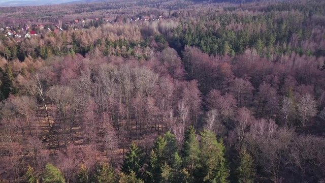 Aerial view of a forest in the south of Germany, near Zittau, steam train narrow railroad among the trees.