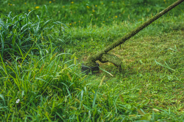 Grass trimmer cutting grass