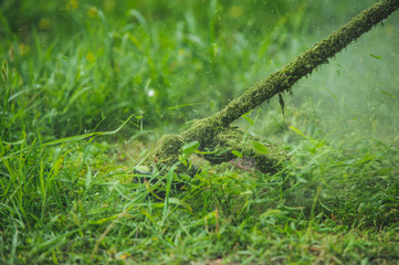 Grass trimmer cutting grass
