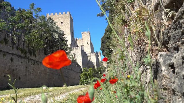 Rhodes, Greece - 21st of April 2018: 4K Touring old town of Rhodes - Red poppies and fortress wall