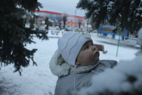 Dariya