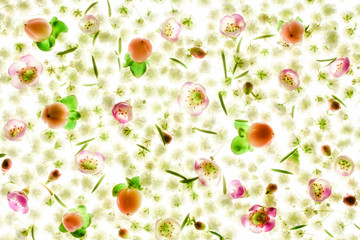 background of fresh flowers