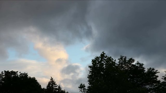 4k timelapse dark cloudes moving above trees