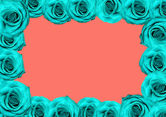 Obraz na płótnie Canvas Blue roses square frame on coral background.