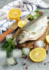 Raw lake trout, spices and ice cubes.