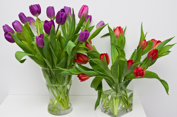 Fresh tulips on a white shelf home decoration