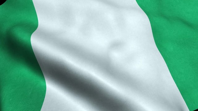 Nigeria Flag Seamless Looping Waving Animation