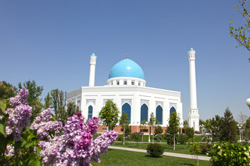 Obraz premium White mosque in Tashkent in Uzbekistan