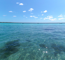 Obraz premium Beautiful Laguna Bacalar. view of the horizon, lagoon of the seven colors in Quintana roo Mexico
