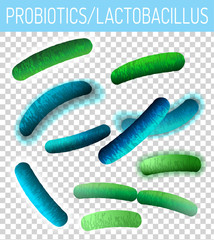 Lactobacillus Probiotics Image
