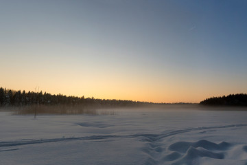 Frosty morning in raised bog. Landscape with the frozen plants. Latvia.