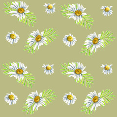 Seamless pattern wirh floral elements for Easter or spring design. Endless texture with camomile mimosa and daisy flowers. on dark green background