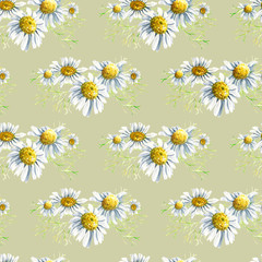 Seamless pattern wirh floral elements for Easter or spring design. Endless texture with camomile mimosa and daisy flowers. on green background