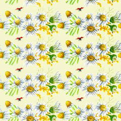 Seamless pattern wirh floral elements for Easter or spring design. Endless texture with camomile mimosa and daisy flowers. on light green background