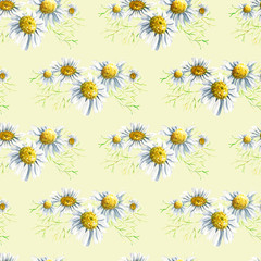 Seamless pattern wirh floral elements for Easter or spring design. Endless texture with camomile mimosa and daisy flowers. on light green background