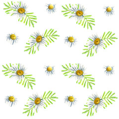 Seamless pattern wirh floral elements for Easter or spring design. Endless texture with camomile mimosa and daisy flowers. on white background