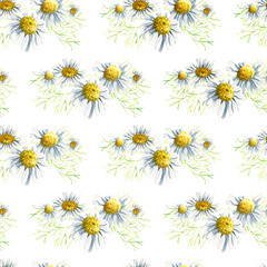 Seamless pattern wirh floral elements for Easter or spring design. Endless texture with camomile mimosa and daisy flowers. on white background