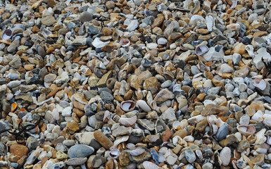 Rocks on the beach
