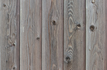 texture of wood