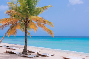 Obraz na płótnie Canvas Luxury Beaches of the Paradise Island, Dominicana