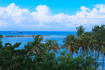 Fototapeta premium Luxury Beaches of the Paradise Island, Dominicana
