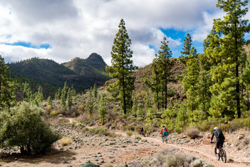 Mountainbiker durch Wald auf Gran Canaria