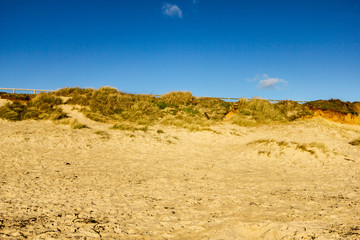 Fototapeta na wymiar A view of sand dune with green grass under a majestic blue sky