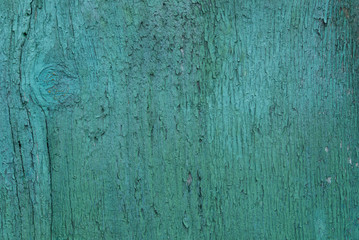 Fototapeta na wymiar old green painted wood texture background texture