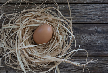 Nest and egg on a wooden background. Easter decoration.
