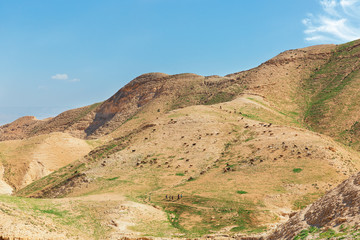 panorama of the Judean desert in spring in Israel