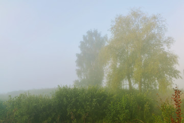 Fototapeta premium Early foggy morning by the river