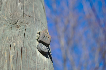 Markierung an einem hölzernen Telefonmast