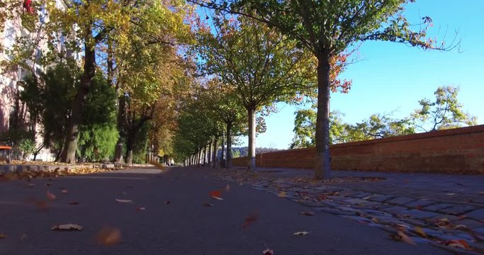 Wind blows the autumn leaves on the Arpad Toth Promenade in the Buda Castle at the western castle wall.