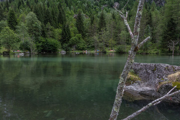 Walking in the forest on the mountain