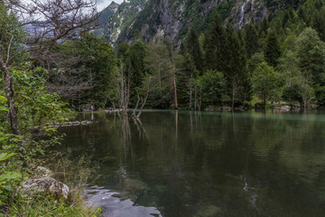 Walking in the forest on the mountain