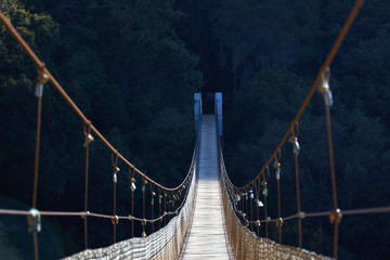 suspension bridge with half shadow