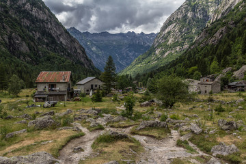 Walking in the forest on the mountain