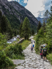 Walking in the forest on the mountain