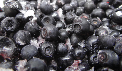frozen blueberries  with ice close up background