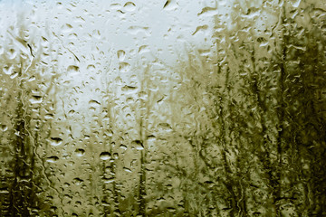 deszczowa pogoda za oknem