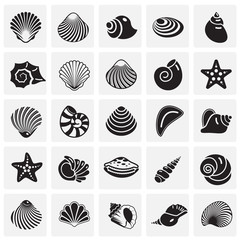 Sea Shell icons set on squres background for graphic and web design. Simple vector sign. Internet concept symbol for website button or mobile app. - 254256710