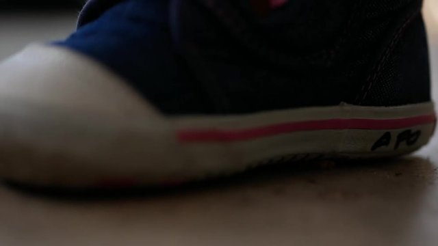 Selective focus of ants working / carrying food got smashed by a little baby foot