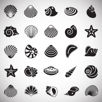 Sea Shell icons set on white background for graphic and web design. Simple vector sign. Internet concept symbol for website button or mobile app.