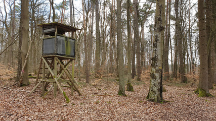 Wooden lookout tower for hunting in the woods and on meadow.wooden house in the forest