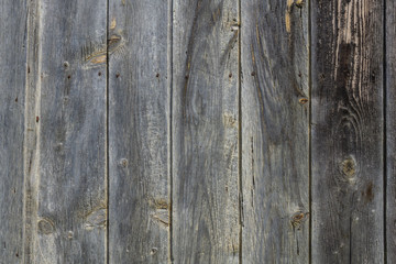 Fototapeta premium texture of old gray wood